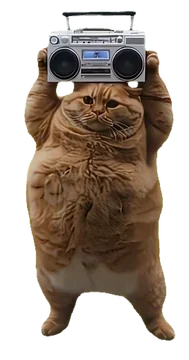 춤추는 냥이