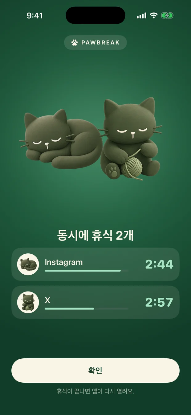 휴식 화면에서 함께 노는 고양이들
