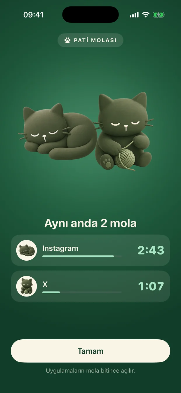 Mola ekranında birlikte oynayan kediler