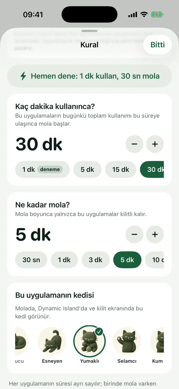 Uygulamaya özel kedi seçimi
